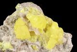 Sulfur Crystals & Strontianite on Matrix - Italy #93649-1